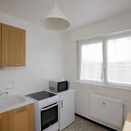 Apartment La Ligne Bleue, Lumineux, Vue Sur Les Vosges