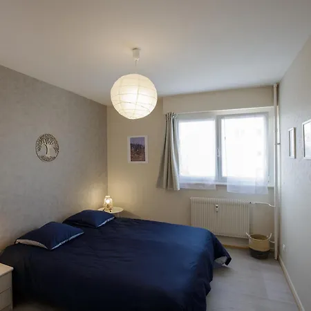 La Ligne Bleue, Lumineux, Vue Sur Les Vosges Apartment Colmar