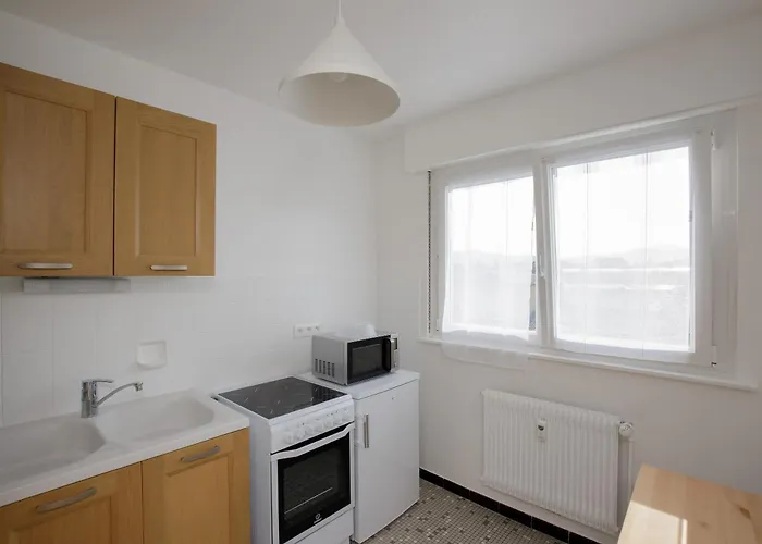 Appartement La Ligne Bleue, Lumineux, Vue Sur Les Vosges
