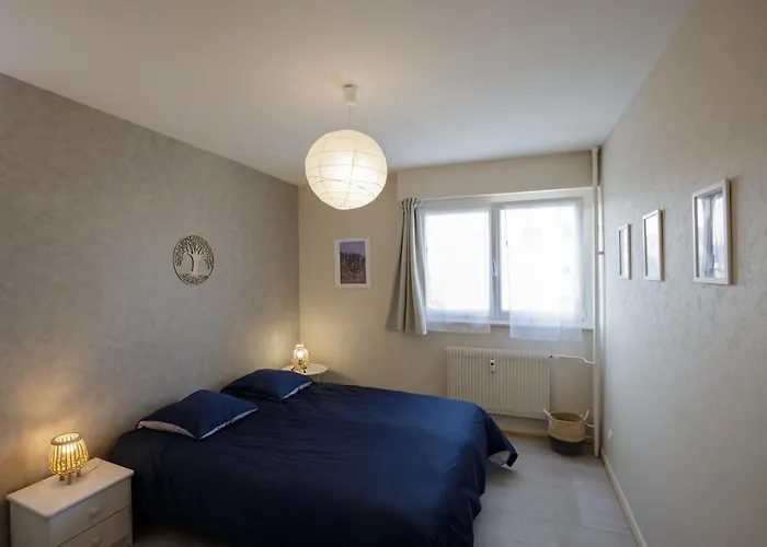 La Ligne Bleue, Lumineux, Vue Sur Les Vosges Appartement Colmar